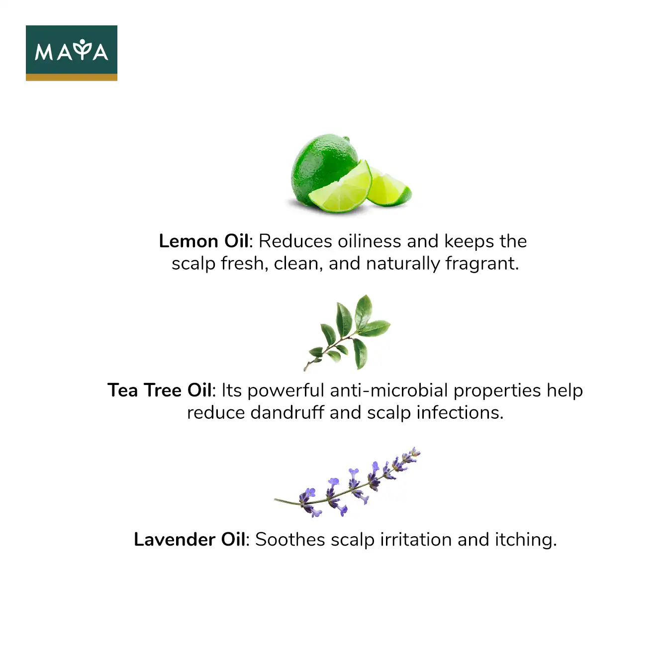 MAYA All Natural Hair Growth Scalp Serum – 30ml - 6